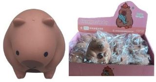Obrázek z Kapybara mačkací 